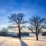 Voralpen Landschaft im Winter