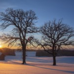Sonnenuntergang im Voralpenland (Winter)
