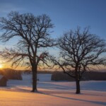 Sonnenuntergang im Voralpenland (Winter)